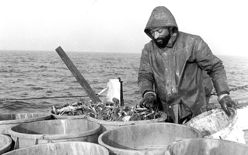 Virginia reconsiders winter crab dredge fishery, closed since 2008